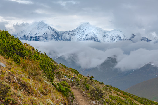 贡嘎雪山