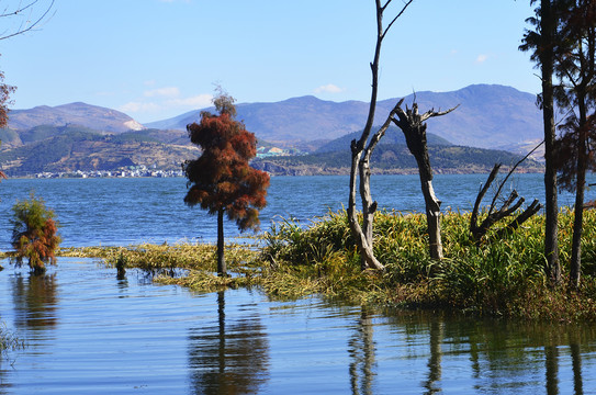 湖山美景