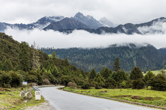 山林