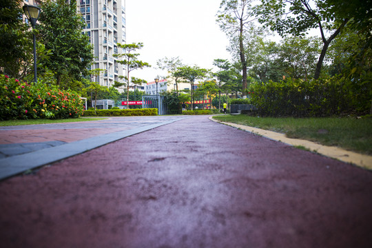 小区漫步道