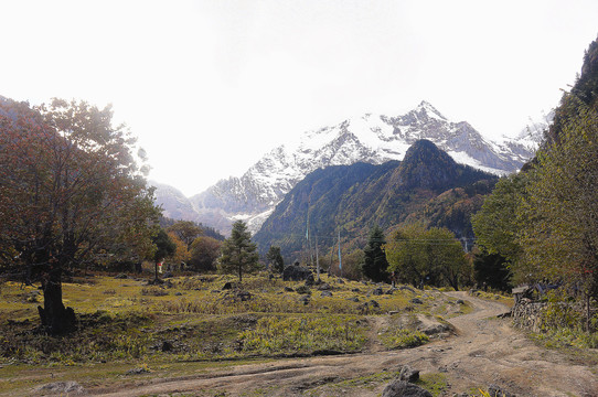 云南香格里拉徒步雨崩梅里雪山