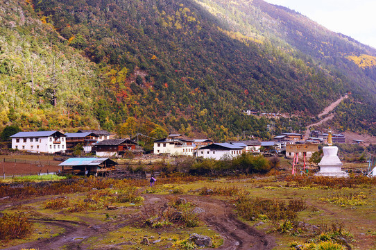 香格里拉徒步雨崩下村秋景彩林