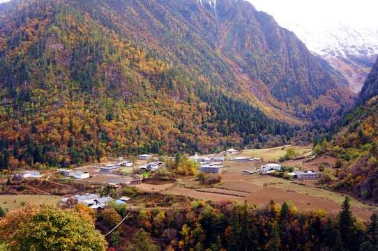 香格里拉徒步雨崩下村秋景彩林