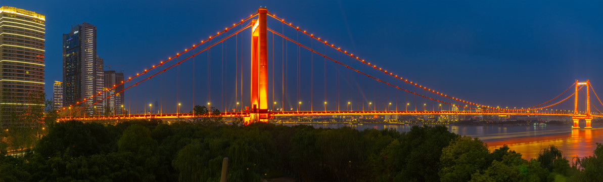 武汉鹦鹉洲长江大桥夜景景观