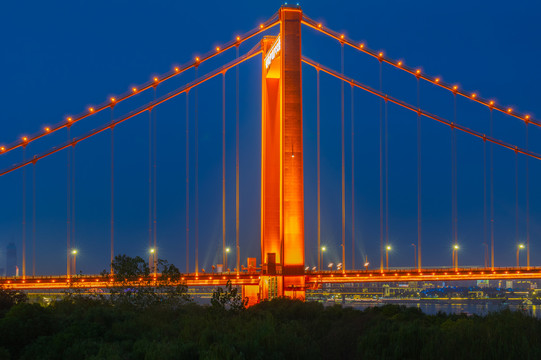 武汉鹦鹉洲长江大桥夜景景观