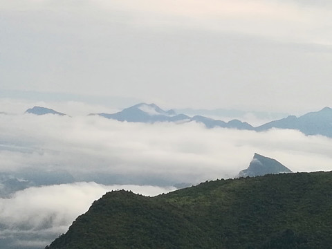 神农顶