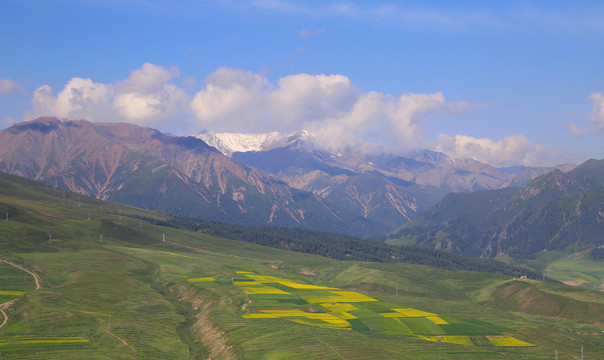 青海卓尔山牛心山雪山