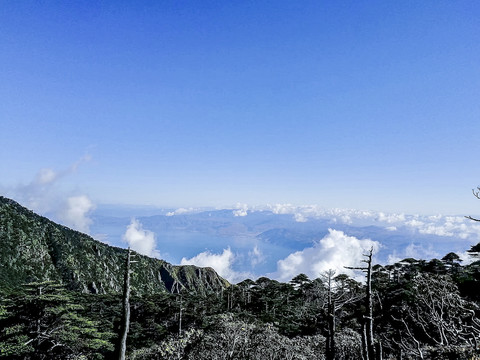 山顶云松