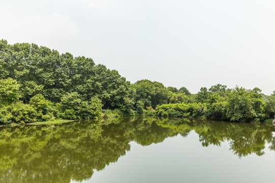 南京雨花台景区