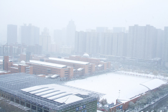 雪景