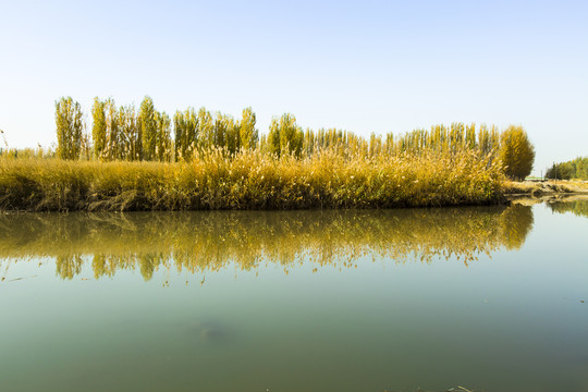 博斯腾湖秋景