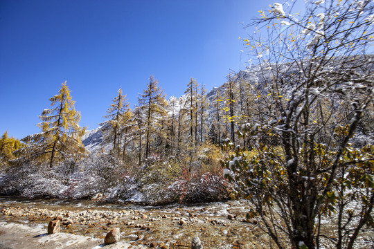 川西高原毕棚沟风景区