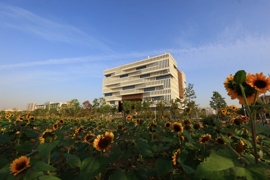 武汉理工大学