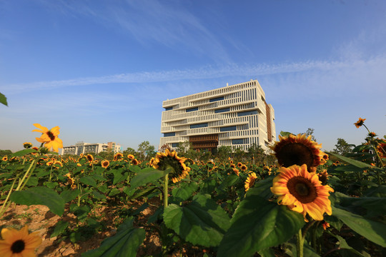 武汉理工大学