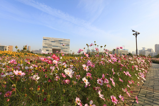 武汉理工大学