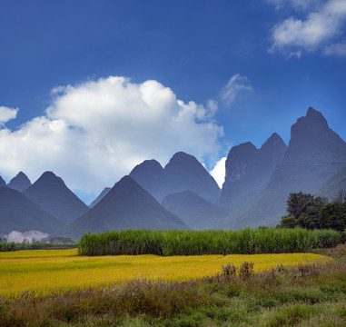 风景