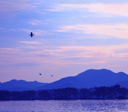 海岛