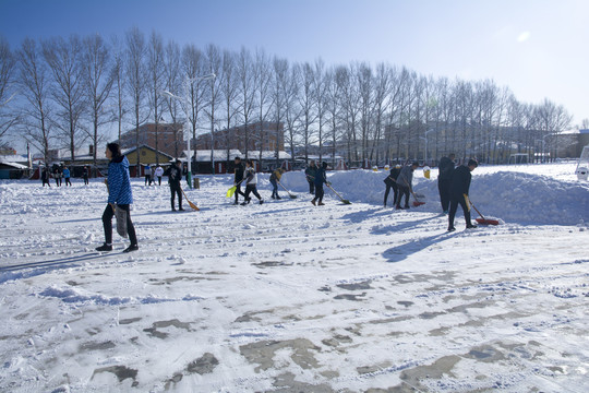 校园学生清雪劳动