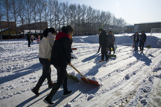 校园学生清雪劳动