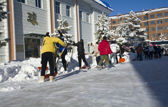 校园学生清雪劳动