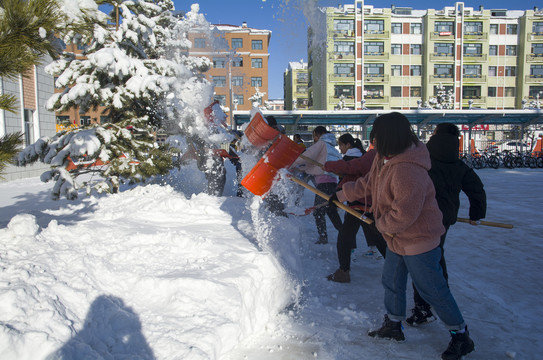 校园学生清雪劳动