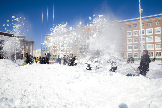 校园清雪劳动