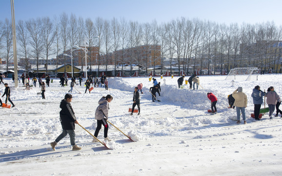 校园清雪劳动