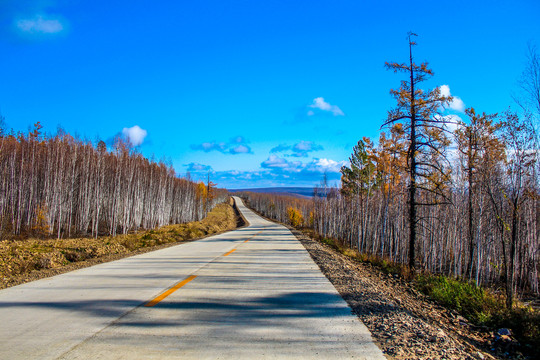 白桦林公路