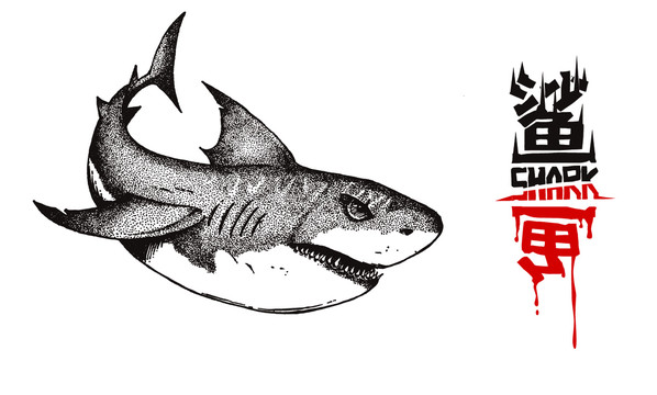 鯊魚