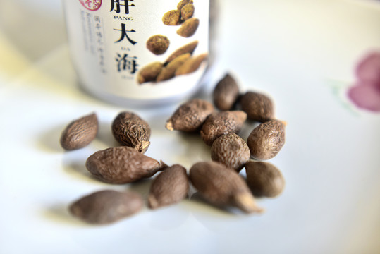 胖大海