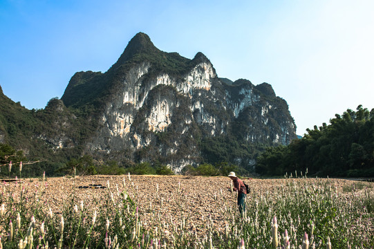 桂林山水九马画山