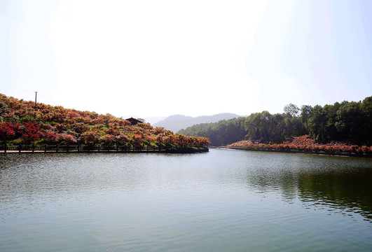 重庆南湖多彩植物园