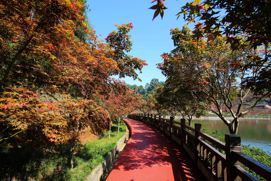 重庆南湖多彩植物园