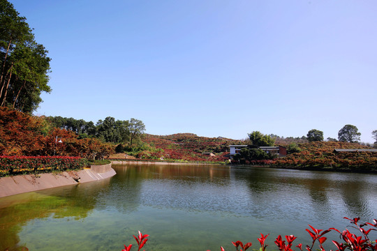 重庆南湖多彩植物园