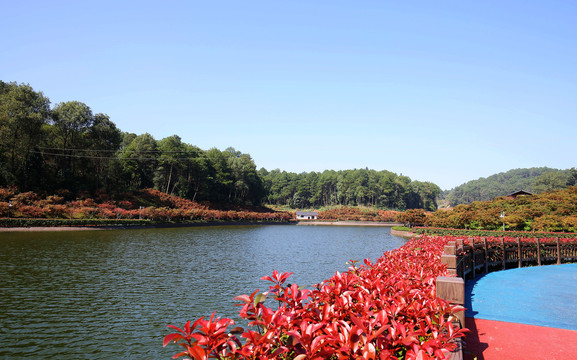 重庆南湖多彩植物园