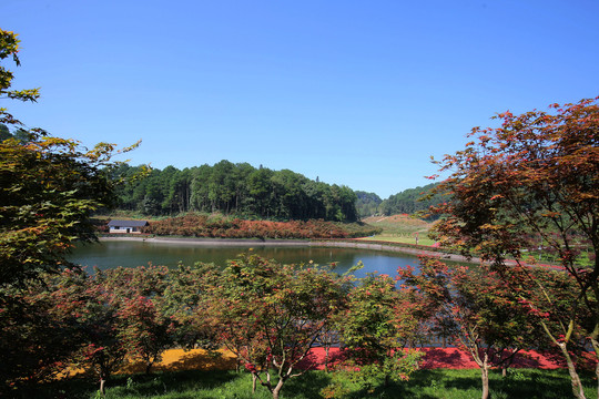 重庆南湖多彩植物园