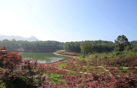 重庆南湖多彩植物园