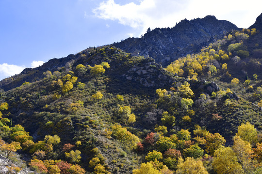 高山风景