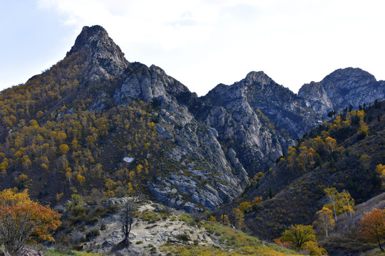 山景