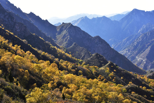 内蒙古大青山风景