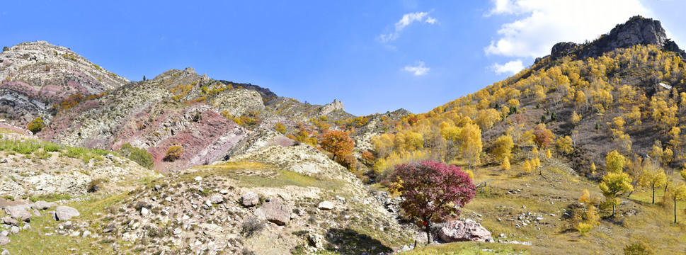 高山秋色