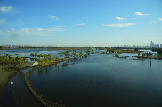 外滩湿地公园