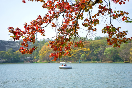 南京前湖公园