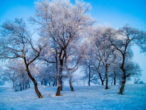 雪景雾凇