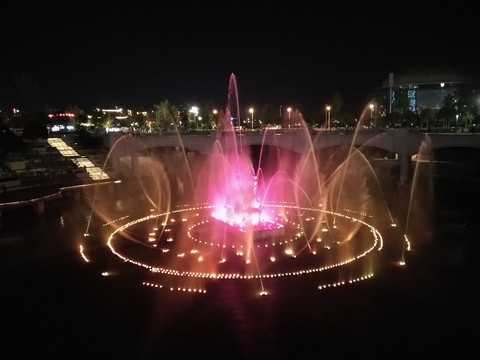 紫黄喷泉
