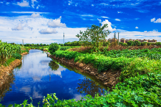 田野自然风景