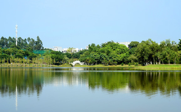 广州大学城中心湖公园