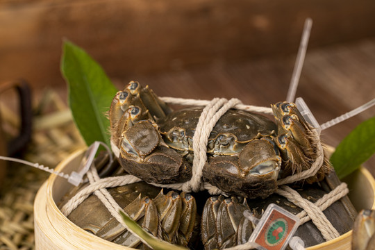 阳澄湖大闸蟹