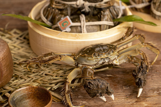 阳澄湖大闸蟹