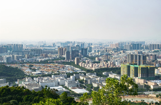 都市建筑群远眺